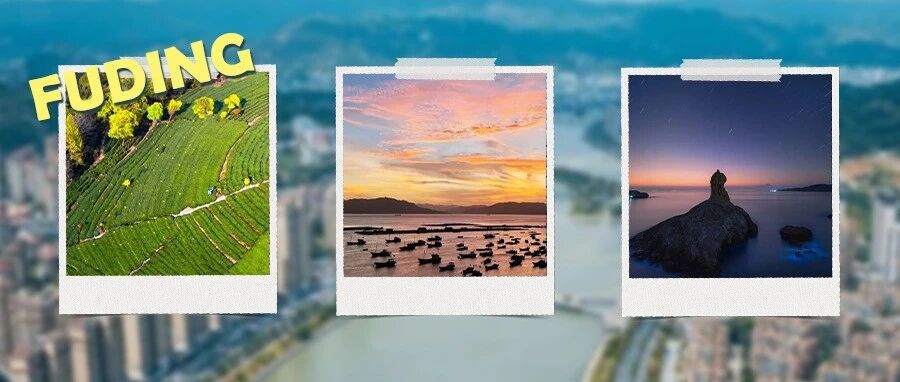 福鼎，何時來看都剛好