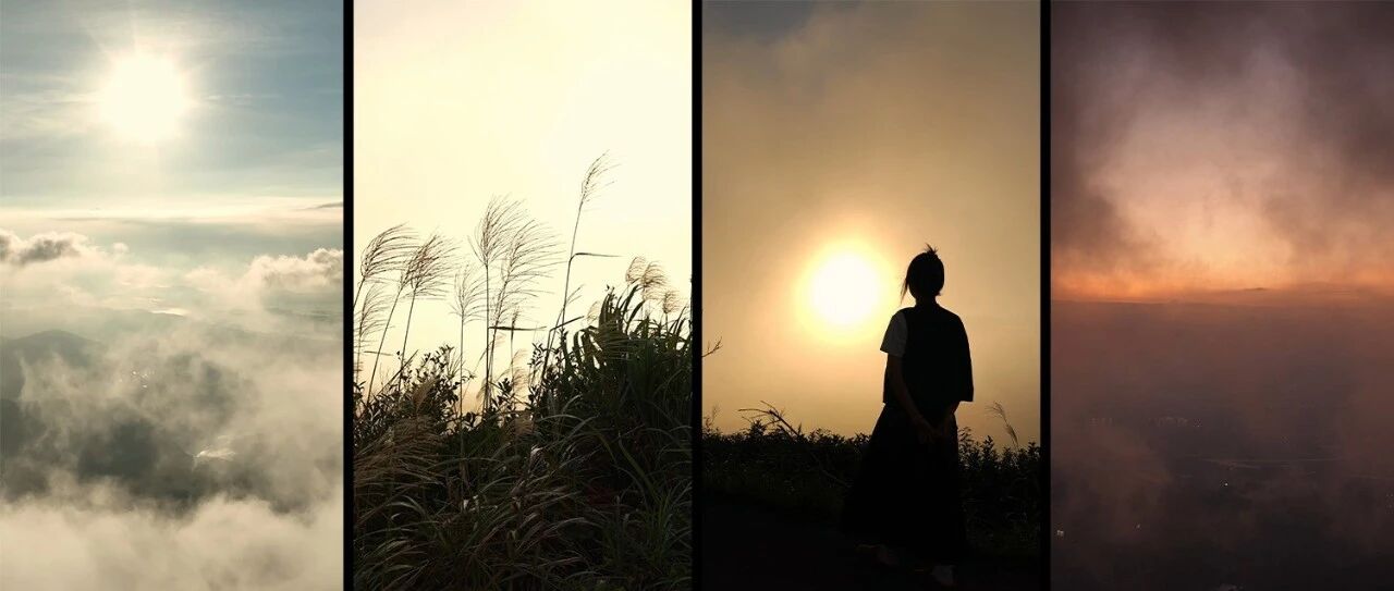 刷爆朋友圈！佳陽烏山尾太有Feel了！