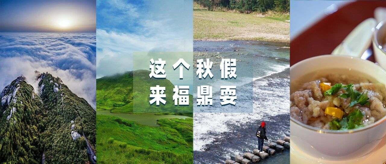 秋假怎么安排？帶娃來福鼎玩點不一樣的